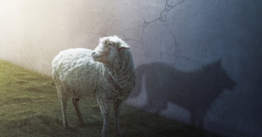 ‘A wolf in sheep’s clothing’