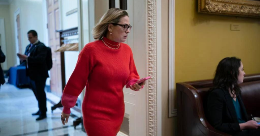 ‘Amnesty’ or border crackdown? What’s in the Senate’s $20 billion immigration deal?