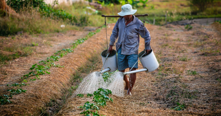 Colorado Senate Ag Committee introduces ‘Agriculture and Natural Resources Public Engagement Requirement’ bill