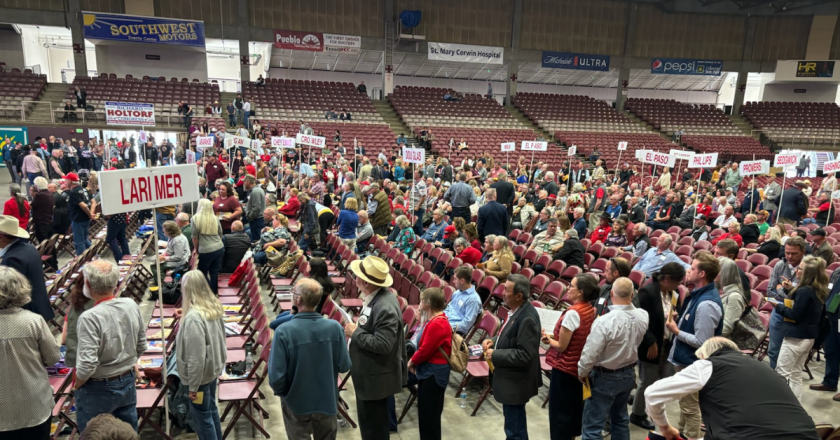 Weins opens 4th District assembly quoting Ronald Reagan, praising delegates in Pueblo
