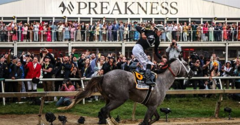 Seize the Grey denies Derby winner Mystik Dan in Preakness, dashes hopes for Triple Crown