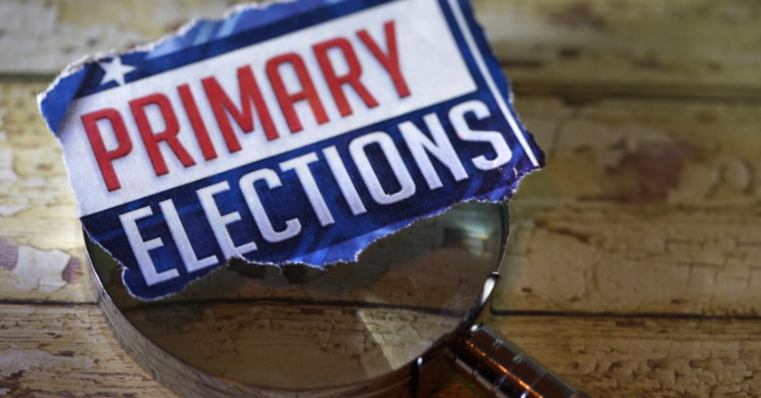 What’s on my ballot? Seven Senate races are opposed in primary election