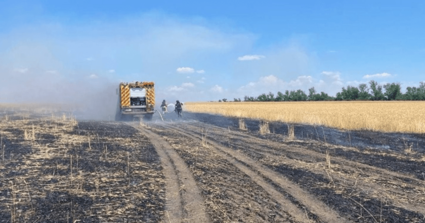 Ukraine accuses Russia of deliberately destroying this year’s grain harvest
