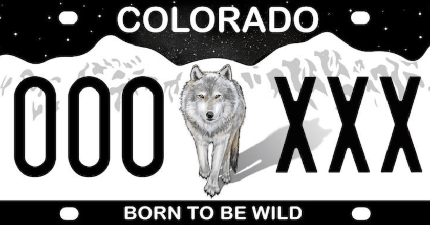 As wolves have ravaged livestock, ‘Born To Be Wild’ plates devoted to them has raised over $300,000