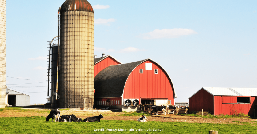 Letter: Reflections on America and the once thriving rural family farm economy